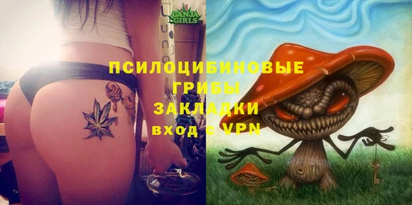 ГАЛЛЮЦИНОГЕННЫЕ ГРИБЫ Балабаново